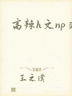 高辣h文np爽