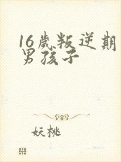 16岁叛逆期的男孩子