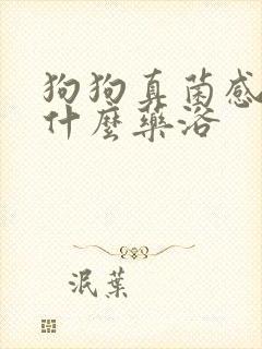 狗狗真菌感染用什么药浴