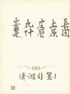 睾丸皮上长肉粒是什么原因引起的封面