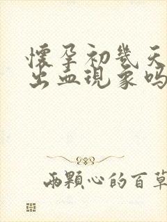 怀孕初几天会有出血现象吗