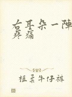 右耳朵一阵一阵疼痛