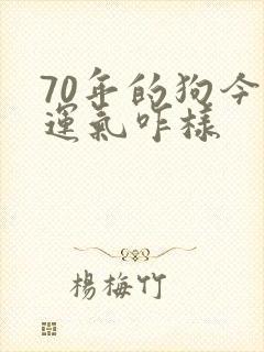 70年的狗今年运气咋样