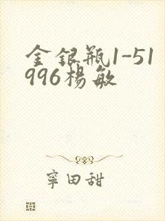 金银瓶1-51996杨敏封面