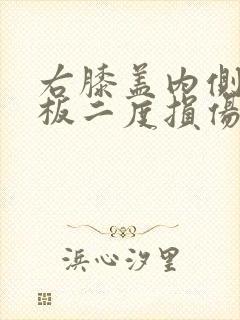 右膝盖内侧半月板二度损伤怎么治封面