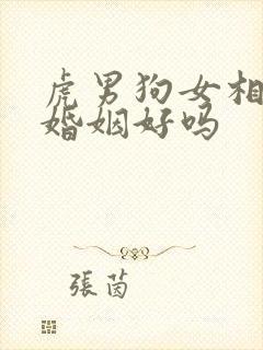 虎男狗女相配的婚姻好吗