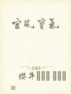 官风宝气封面