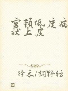 宫颈低度病变鳞状上皮