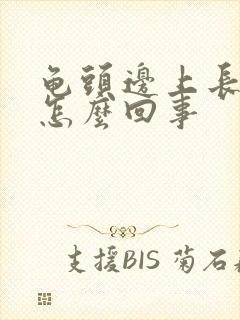 龟头边上长疙瘩怎么回事封面
