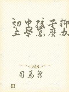 初中孩子抑郁不上学怎么办封面