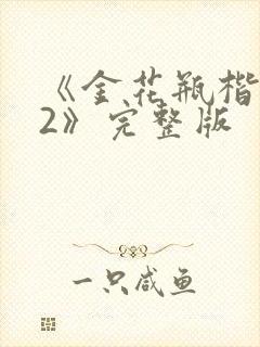 《金花瓶楷梅花2》完整版