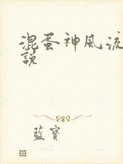 混蛋神风流史小说封面