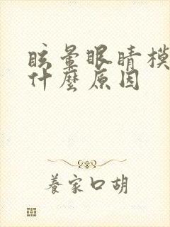 眩晕眼睛模糊是什么原因封面