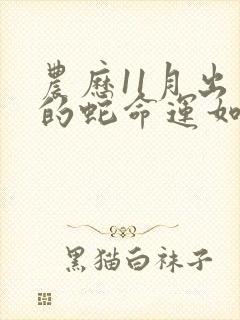 农历11月出生的蛇命运如何封面