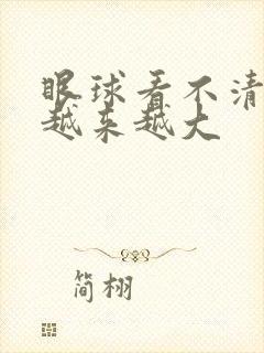 眼球看不清模糊越来越大