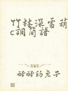 竹林深处葫芦丝c调简谱