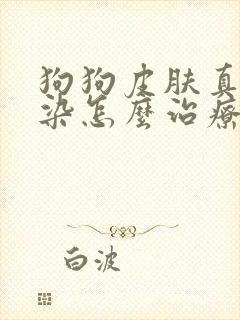 狗狗皮肤真菌感染怎么治疗