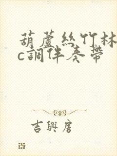 葫芦丝竹林深处c调伴奏带