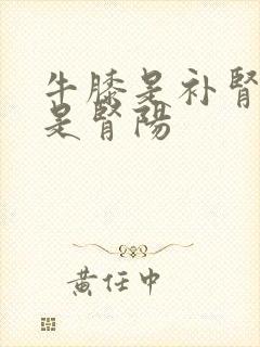 牛膝是补肾阴还是肾阳