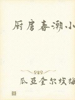 厨房春潮小说