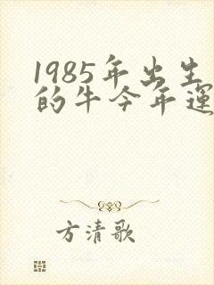 1985年出生的牛今年运气好不好
