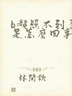 b超照不到孕囊是怎么回事封面