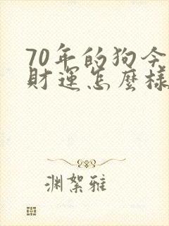 70年的狗今年财运怎么样