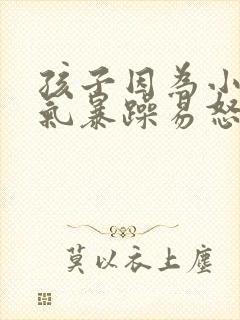 孩子因为小事脾气暴躁易怒