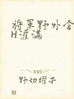 将军野外含公主H灌满