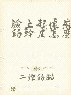 脸上起像癣一样的干皮怎么治疗