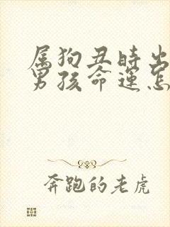 属狗丑时出生的男孩命运怎样封面