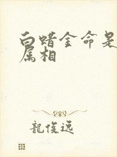 白蜡金命是什么属相