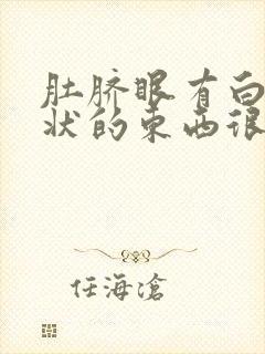 肚脐眼有白色糊状的东西很臭