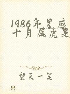 1986年农历十月属虎是什么命