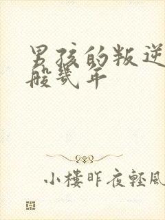 男孩的叛逆期一般几年封面