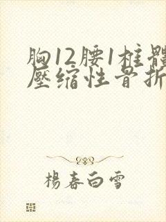 胸12腰1椎体压缩性骨折鉴定几级