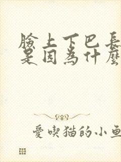 脸上下巴长痘痘是因为什么原因引起的