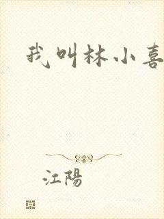 我叫林小喜17