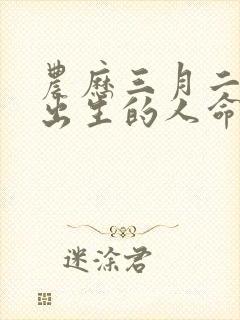 农历三月二十六出生的人命运封面