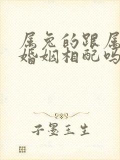 属兔的跟属狗的婚姻相配吗