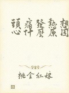 头痛发热想吐恶心什么原因