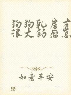 狗狗乳房有一个很大的瘤怎么办