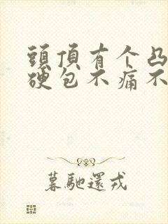 头顶有个凸起的硬包不痛不痒封面