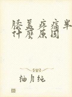 膝盖疼痛半月是什么原因