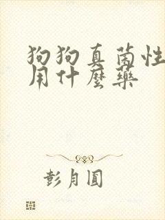 狗狗真菌性皮肤用什么药