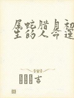 属蛇腊月初三出生的人命运封面