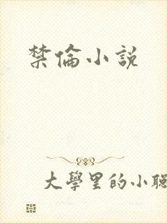 禁伦小说封面