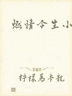 燃情今生小说