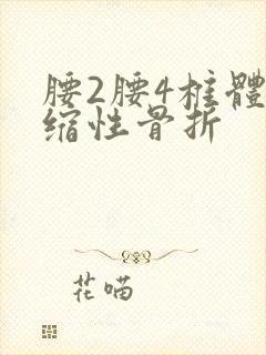 腰2腰4椎体压缩性骨折封面