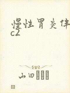 慢性胃炎伴糜烂c2